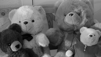 bears 2005